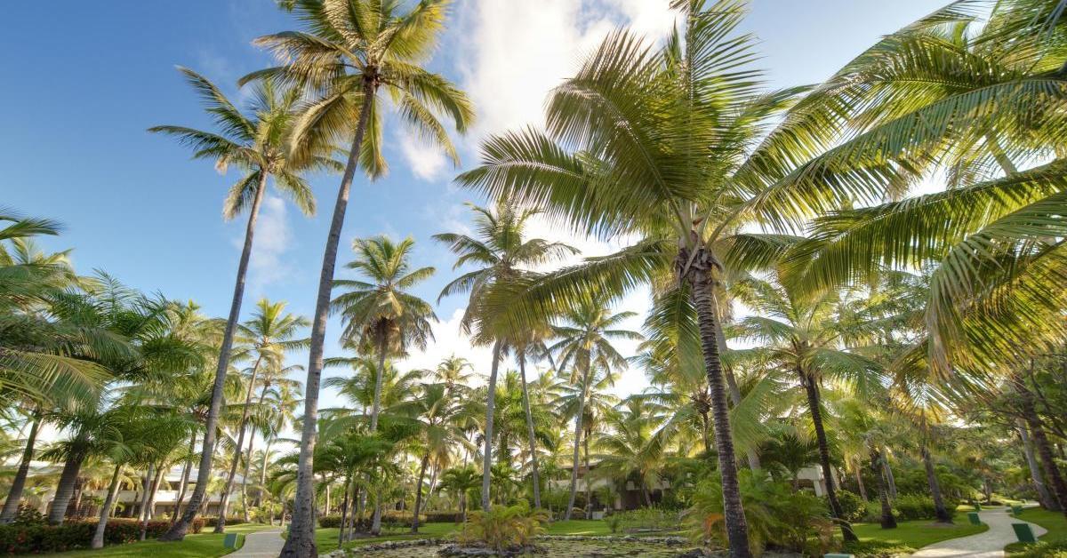 The Level At Melia Caribe Beach (Adults Only) Punta Cana Extérieur photo